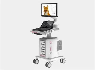 MyLab FOX